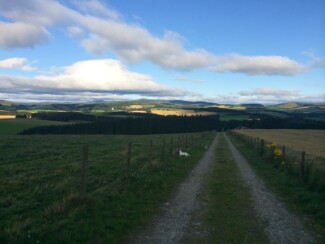 Findrack Sporting, Torphins, Aberdeenshire - Scottish Country Sports - Hunting, Shooting & Fishing. Simulated Shooting. Findrack Farm
