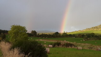 Findrack Sporting, Torphins, Aberdeenshire - Scottish Country Sports - Hunting, Shooting & Fishing. Simulated Shooting. Findrack Farm
