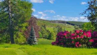 Findrack Sporting, Torphins, Aberdeenshire - Scottish Country Sports - Hunting, Shooting & Fishing. Simulated Shooting. Findrack Farm