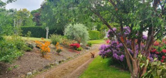 Findrack Sporting, Torphins, Aberdeenshire - Scottish Country Sports - Hunting, Shooting & Fishing. Simulated Shooting. Findrack Farm