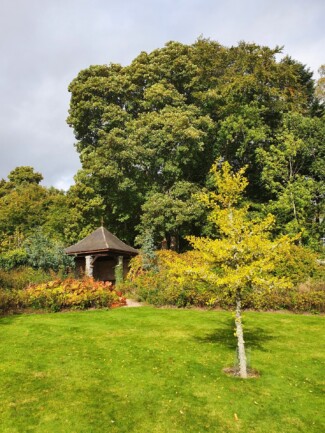 Findrack Sporting, Torphins, Aberdeenshire - Scottish Country Sports - Hunting, Shooting & Fishing. Simulated Shooting. Findrack Farm