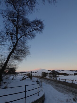 Findrack Sporting, Torphins, Aberdeenshire - Scottish Country Sports - Hunting, Shooting & Fishing. Simulated Shooting. Findrack Farm