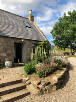 Findrack Sporting, Torphins, Aberdeenshire - Scottish Country Sports - Hunting, Shooting & Fishing. Simulated Shooting. Findrack Farm