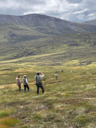 Findrack Sporting, Torphins, Aberdeenshire - Scottish Country Sports - Hunting, Shooting & Fishing. Simulated Shooting. Findrack Farm