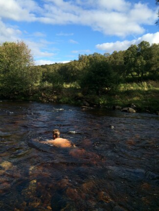Findrack Sporting, Torphins, Aberdeenshire - Scottish Country Sports - Hunting, Shooting & Fishing. Simulated Shooting. Findrack Farm