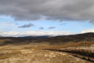 Findrack Sporting, Torphins, Aberdeenshire - Scottish Country Sports - Hunting, Shooting & Fishing. Simulated Shooting. Findrack Farm