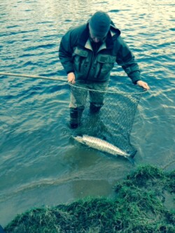 Findrack Sporting, Torphins, Aberdeenshire - Scottish Country Sports - Hunting, Shooting & Fishing. Simulated Shooting. Findrack Farm