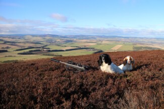 Findrack Sporting, Torphins, Aberdeenshire - Scottish Country Sports - Hunting, Shooting & Fishing. Simulated Shooting. Findrack Farm