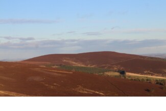 Findrack Sporting, Torphins, Aberdeenshire - Scottish Country Sports - Hunting, Shooting & Fishing. Simulated Shooting. Findrack Farm