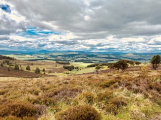 Findrack Sporting, Torphins, Aberdeenshire - Scottish Country Sports - Hunting, Shooting & Fishing. Simulated Shooting. Findrack Farm