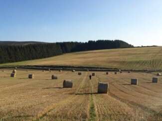 Findrack Sporting, Torphins, Aberdeenshire - Scottish Country Sports - Hunting, Shooting & Fishing. Simulated Shooting. Findrack Farm