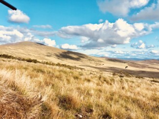 Findrack Sporting, Torphins, Aberdeenshire - Scottish Country Sports - Hunting, Shooting & Fishing. Simulated Shooting. Findrack Farm