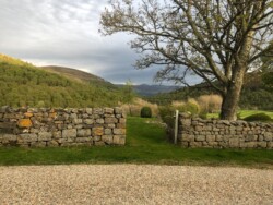Findrack Sporting, Torphins, Aberdeenshire - Scottish Country Sports - Hunting, Shooting & Fishing. Simulated Shooting. Findrack Farm