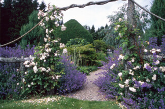 Findrack, Aberdeenshire, Scotland, UK Findrack Sporting, Torphins, Aberdeenshire - Scottish Country Sports - Hunting, Shooting & Fishing. Simulated Shooting. Findrack Farm