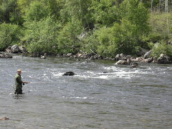 Findrack Sporting, Torphins, Aberdeenshire - Scottish Country Sports - Hunting, Shooting & Fishing. Simulated Shooting. Findrack Farm