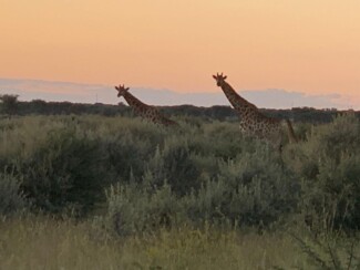 Findrack Sporting, Torphins, Aberdeenshire - Scottish Country Sports - Hunting, Shooting & Fishing. Simulated Shooting. Findrack Farm