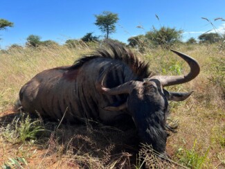 Findrack Sporting, Torphins, Aberdeenshire - Scottish Country Sports - Hunting, Shooting & Fishing. Simulated Shooting. Findrack Farm