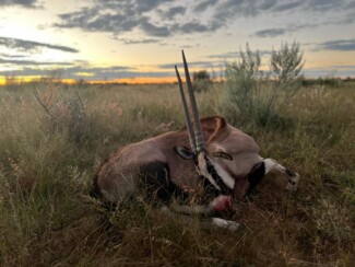 Findrack Sporting, Torphins, Aberdeenshire - Scottish Country Sports - Hunting, Shooting & Fishing. Simulated Shooting. Findrack Farm