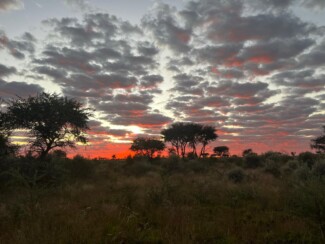 Findrack Sporting, Torphins, Aberdeenshire - Scottish Country Sports - Hunting, Shooting & Fishing. Simulated Shooting. Findrack Farm