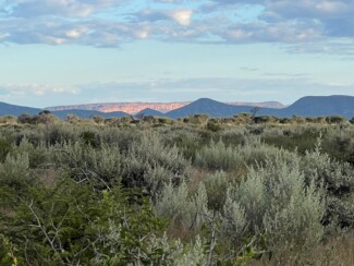 Findrack Sporting, Torphins, Aberdeenshire - Scottish Country Sports - Hunting, Shooting & Fishing. Simulated Shooting. Findrack Farm