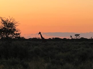 Findrack Sporting, Torphins, Aberdeenshire - Scottish Country Sports - Hunting, Shooting & Fishing. Simulated Shooting. Findrack Farm