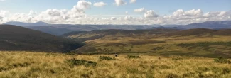 Findrack Sporting, Torphins, Aberdeenshire - Scottish Country Sports - Hunting, Shooting & Fishing. Simulated Shooting. Findrack Farm