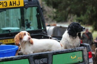 Findrack Sporting, Torphins, Aberdeenshire - Scottish Country Sports - Hunting, Shooting & Fishing. Simulated Shooting. Findrack Farm