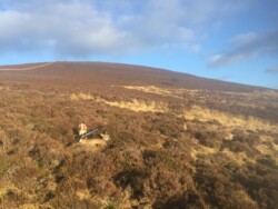 Findrack Sporting, Torphins, Aberdeenshire - Scottish Country Sports - Hunting, Shooting & Fishing. Simulated Shooting. Findrack Farm