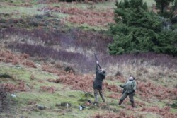 Findrack Sporting, Torphins, Aberdeenshire - Scottish Country Sports - Hunting, Shooting & Fishing. Simulated Shooting. Findrack Farm