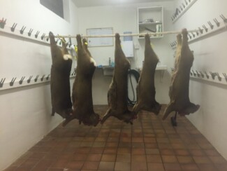 Findrack Sporting, Torphins, Aberdeenshire - Scottish Country Sports - Hunting, Shooting & Fishing. Simulated Shooting. Findrack Farm