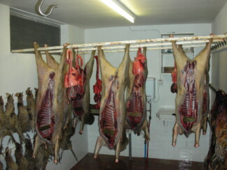Findrack Sporting, Torphins, Aberdeenshire - Scottish Country Sports - Hunting, Shooting & Fishing. Simulated Shooting. Findrack Farm
